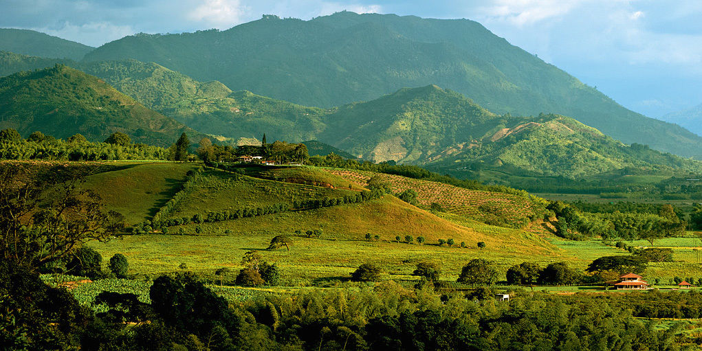 Hacienda Bambusa El Caimo Esterno foto