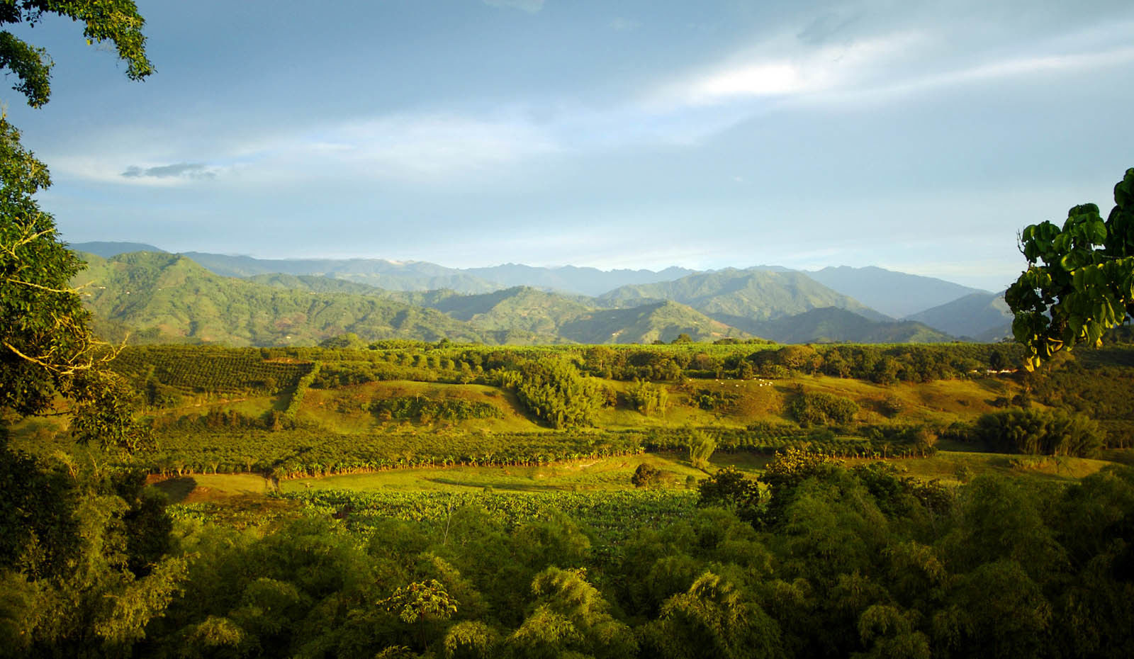 Hacienda Bambusa El Caimo Esterno foto